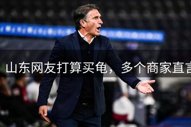 山东网友打算买龟，多个商家直言“山东不卖”，评论区全是电商泪
