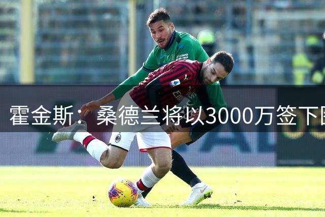 霍金斯：桑德兰将以3000万签下图卢兹后卫梅塔利，合同期5年